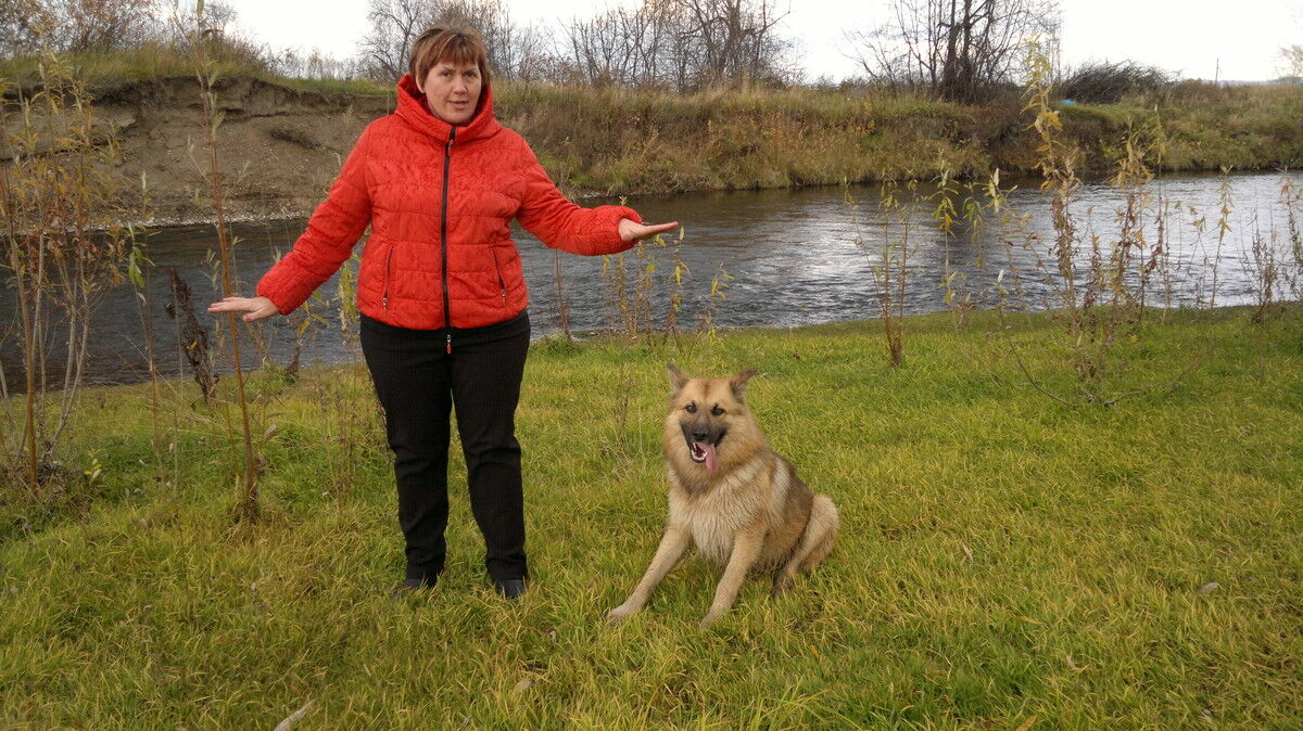 ���� 6150618 ������� �������, 65 ���, ���� ���������� � ������