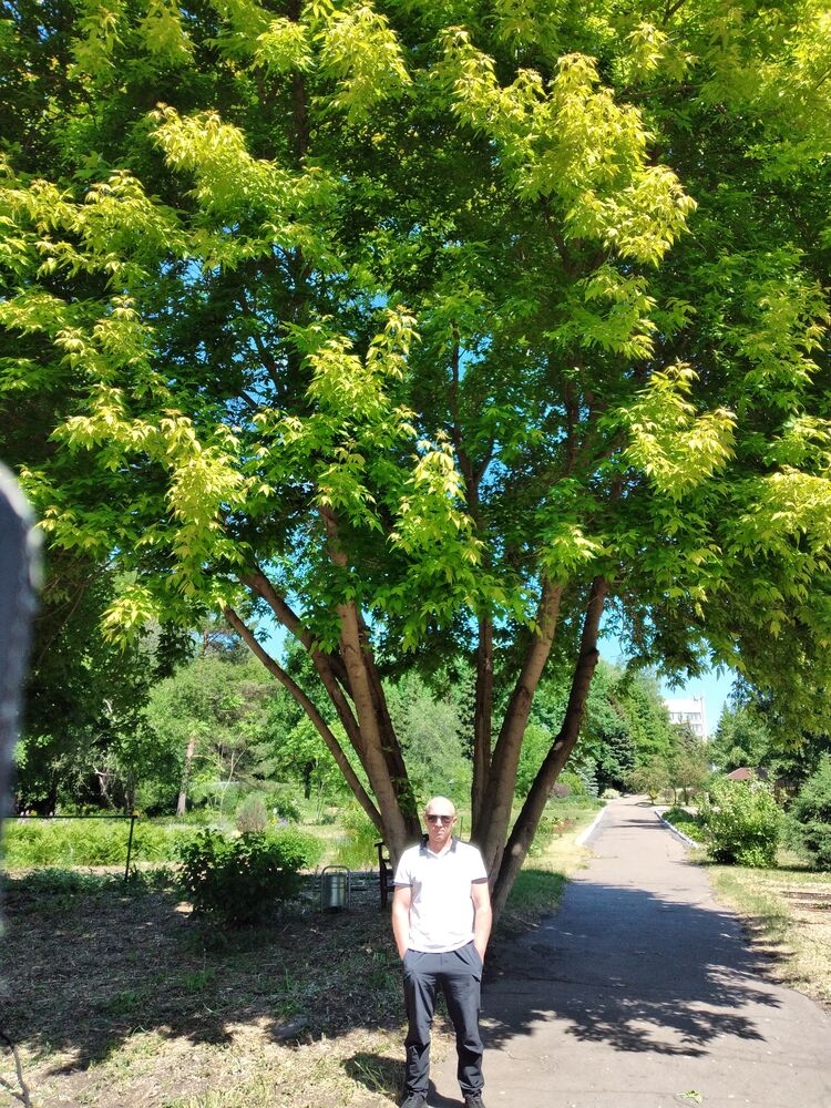 ���� 23168718 ������� ����, 42 ����, ���� ���������� � �����