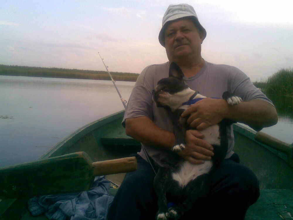  54076868  , 62 ,    --