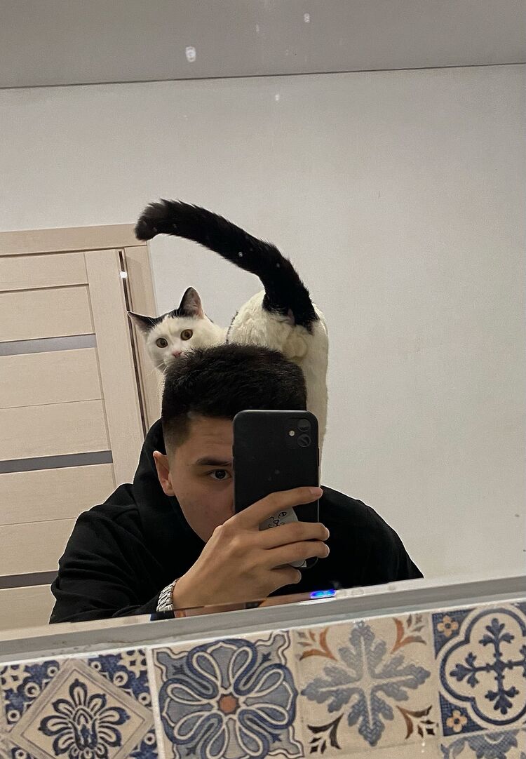  31639508  Ilshatgis, 24 ,    