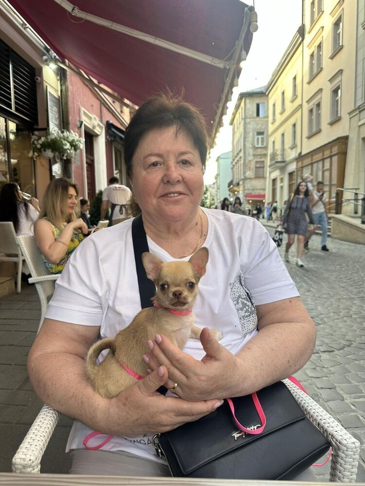 ���� 54489478 ������� ������, 72 ����, ���� ���������� � �������