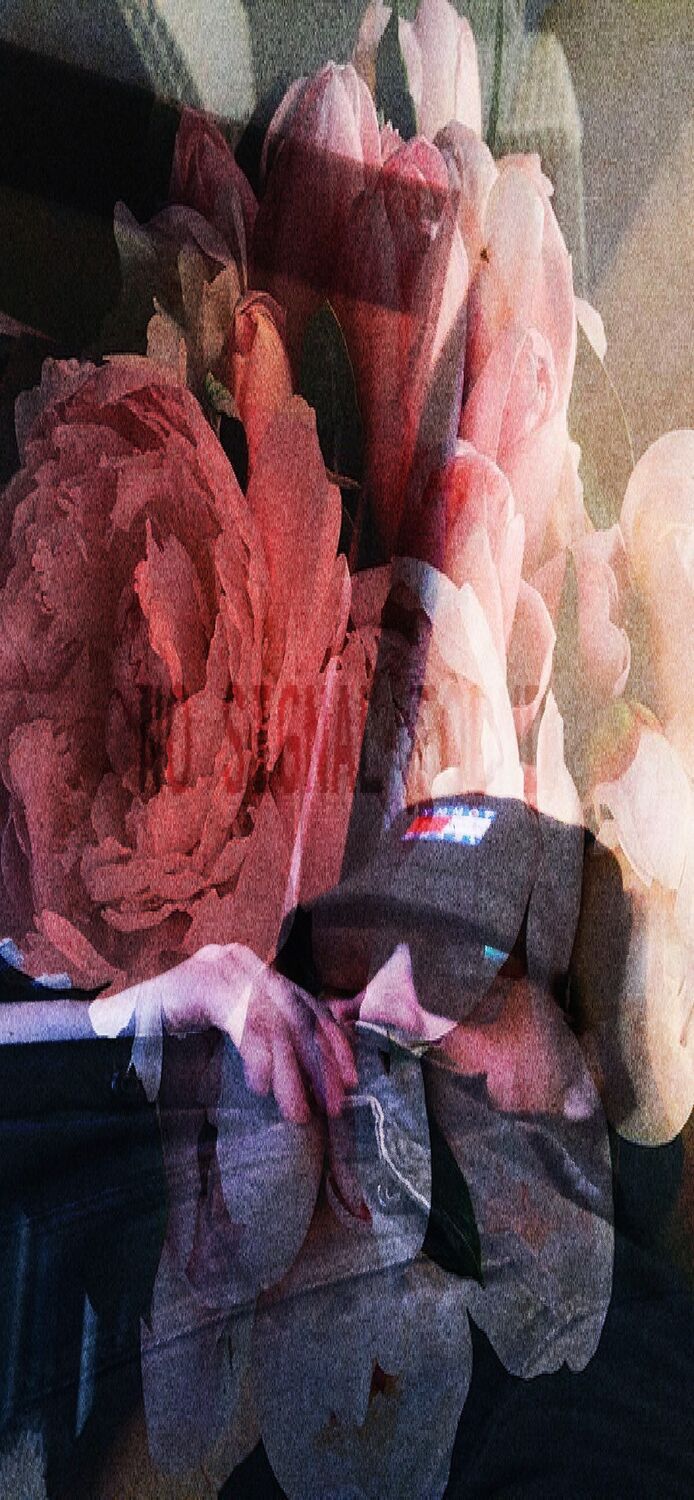 ���� 40616908 ������� ������������, 32 ����, ���� ���������� � ����������