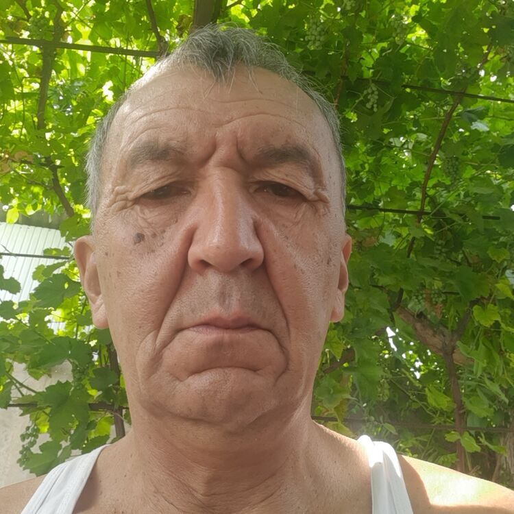  31036868  , 62 ,    