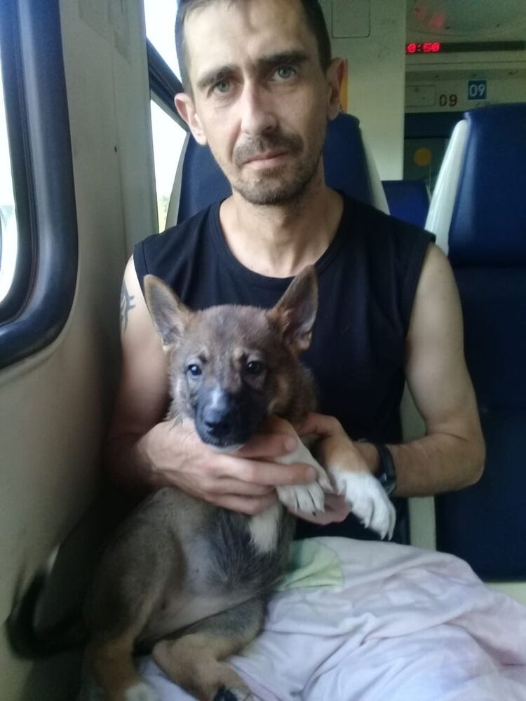 ���������� �������, ���� ������� �������, 44 ����, ������������ ��� ������, ����� � ���������, c�������� ���������, ���������