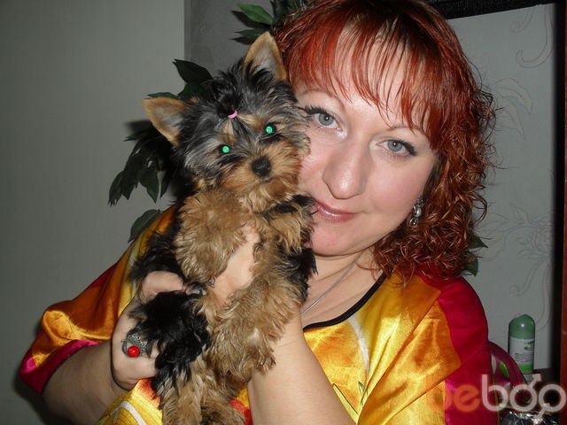 ���������� ����, ���� ������� �������, 51 ���, ������������ ��� ������, ����� � ���������, c�������� ���������