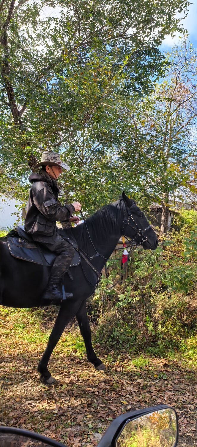 ���������� ����������, ���� ������� ����, 63 ����, ������������ ��� ������, ����� � ���������, c�������� ���������