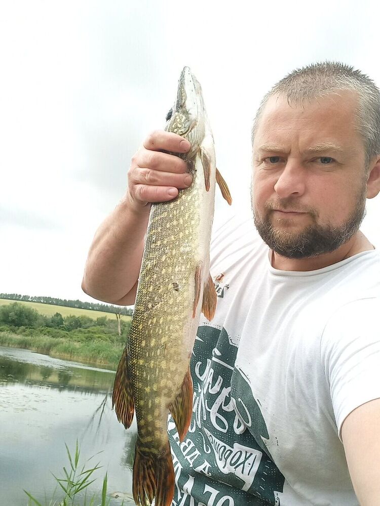 ���������� ����������, ���� ������� �������, 40 ���, ������������ ��� ������, ����� � ���������