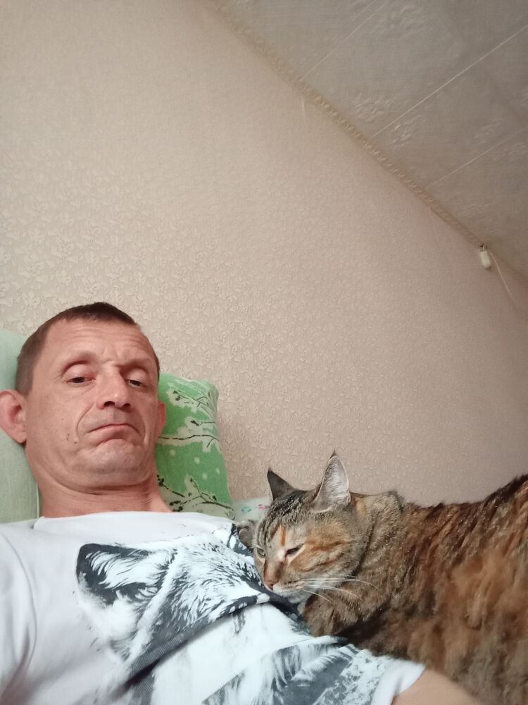 ���� 53858048 ������� ���������, 47 ���, ���� ���������� � ������