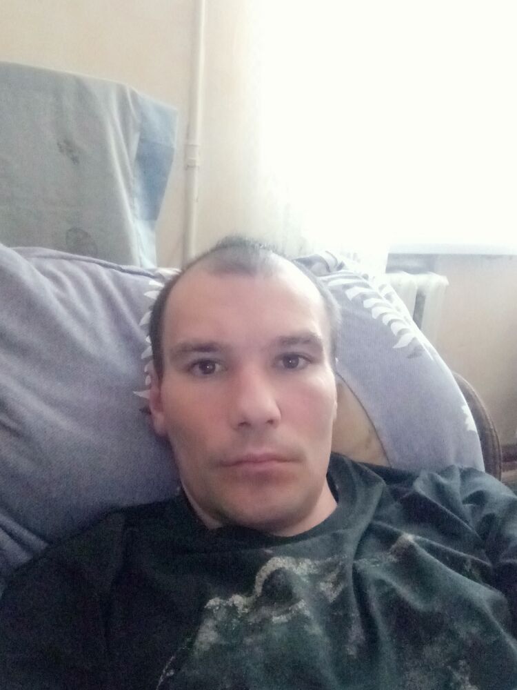  33663338  , 34 ,    
