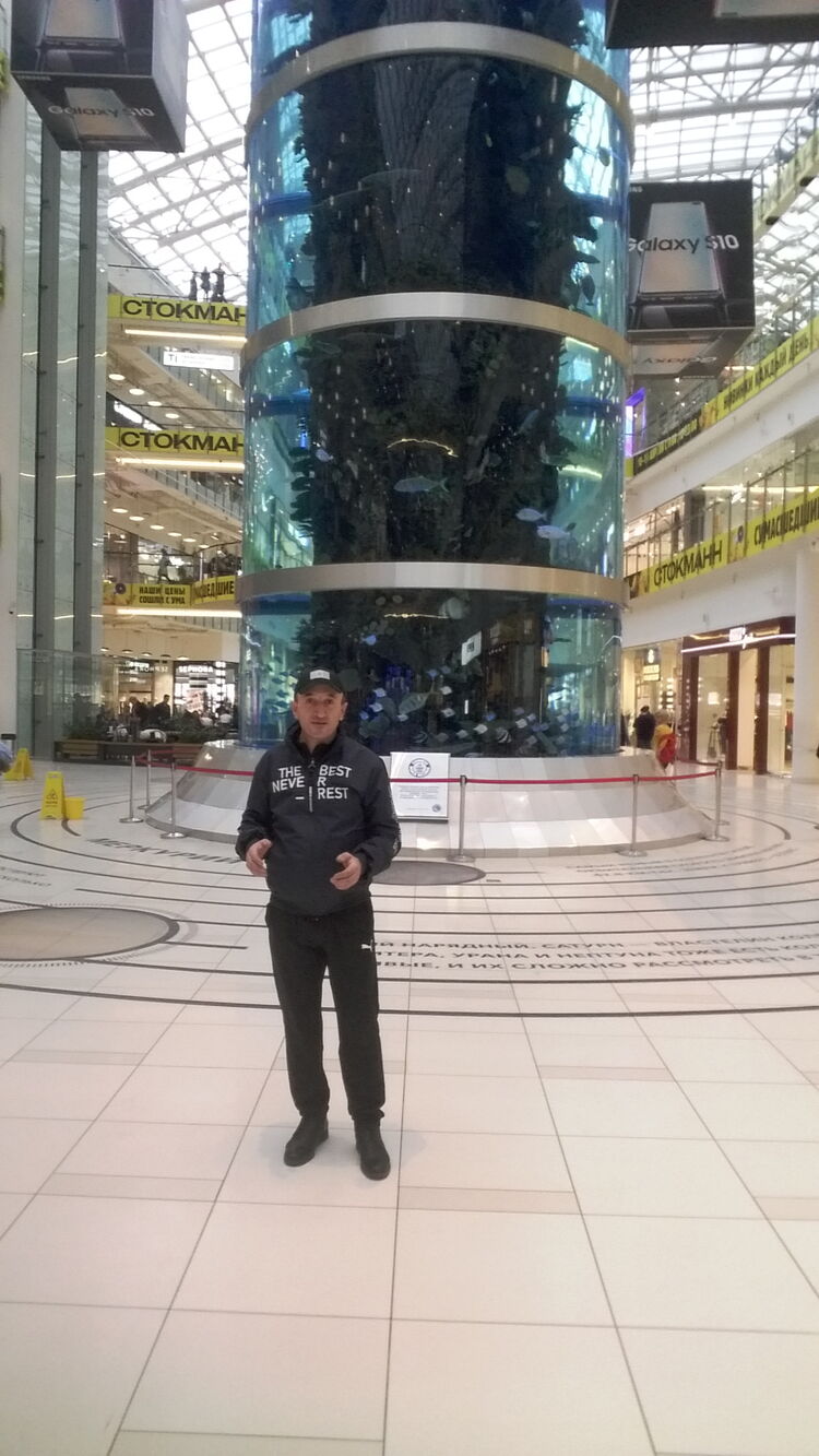 ���� 49883938 ������� �����, 50 ���, ���� ���������� � ������