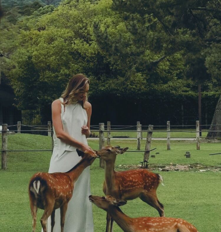 ���������� �����, ���� ������� �����, 35 ���, ������������ ��� ����� � ���������, c�������� ���������, ���������