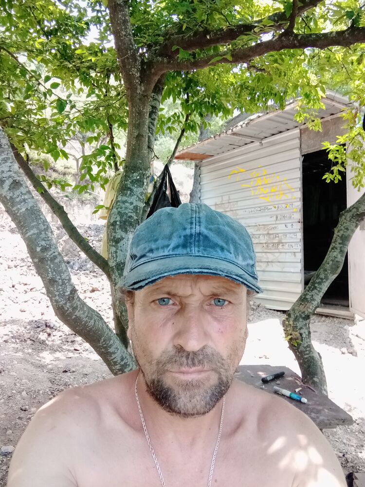  35529858  , 50 ,    