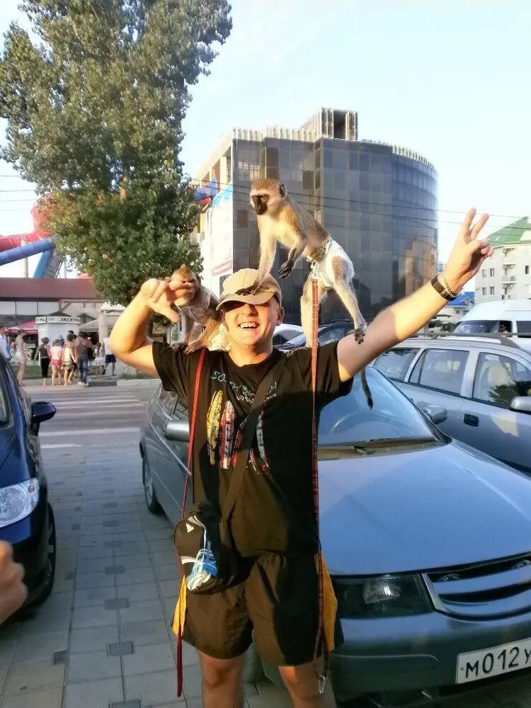 ���������� ���������, ���� ������� ������, 40 ���, ������������ ��� ������, ����� � ���������, c�������� ���������