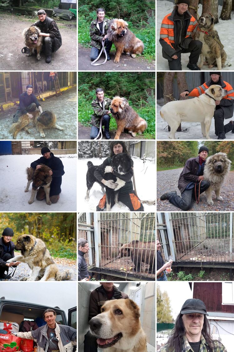  52396598  , 62 ,    -