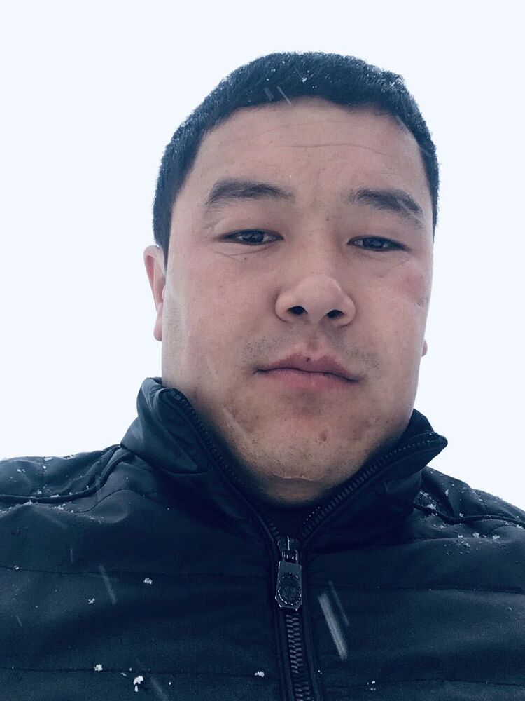 ���������� ������, ���� ������� SHOHRUHBEK, 28 ���, ������������ ��� ������, ����� � ���������, c�������� ���������, ���������