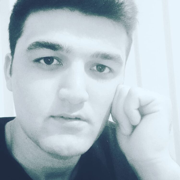  33451428  , 24 ,    