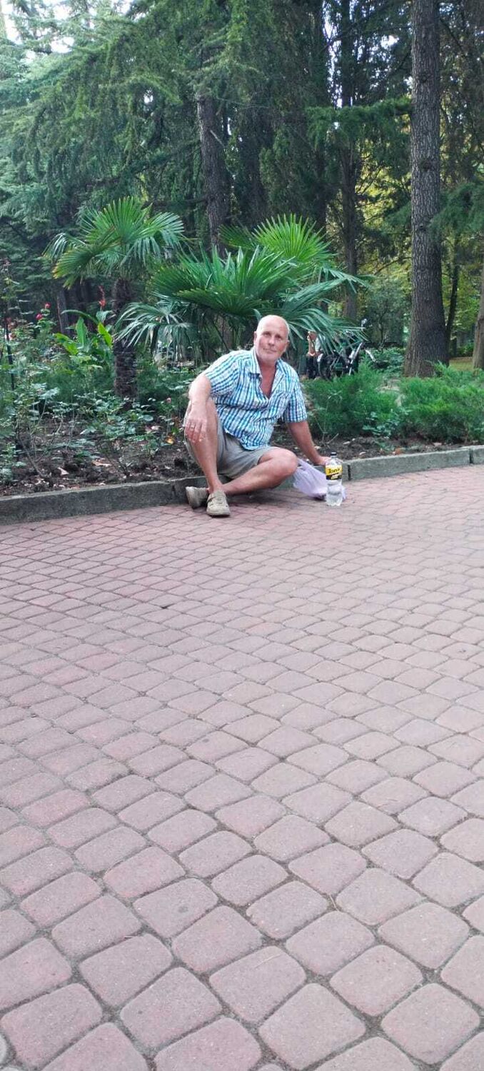  52584938  , 50 ,    