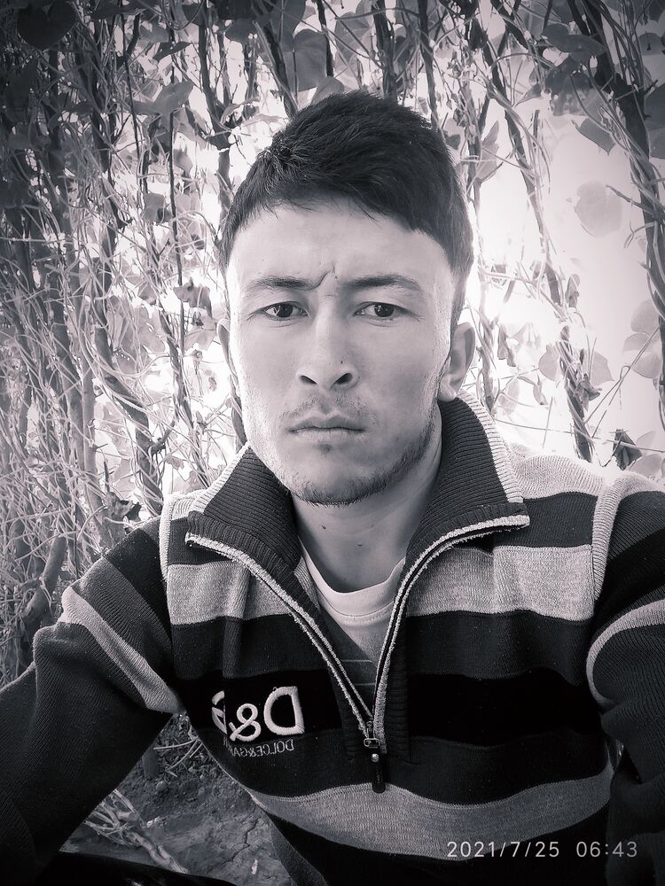 ���� 25133258 ������� King, 31 ���, ���� ���������� � ��������