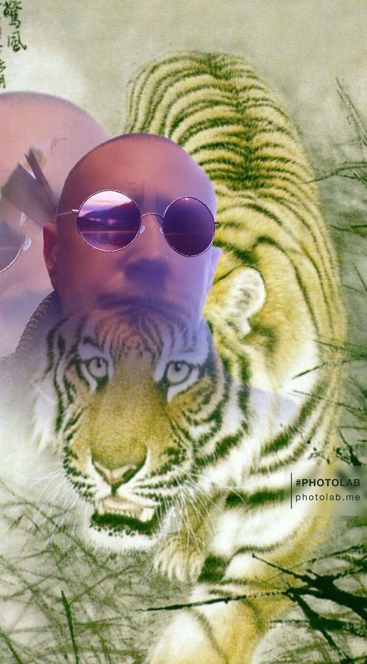 ���������� ��������, ���� ������� ����, 40 ���, ������������ ��� ������, ����� � ���������