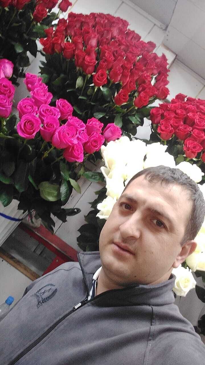  28862548  , 33 ,    