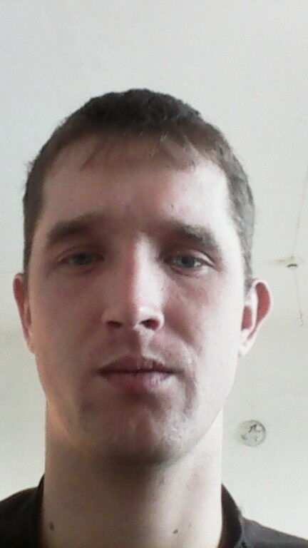  8785568  , 31 ,    