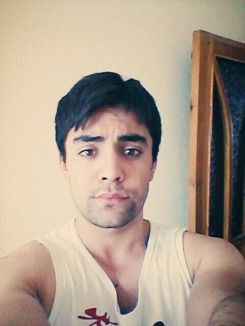 ���� 6262228 ������� Daler, 29 ���, ���� ���������� � ��������