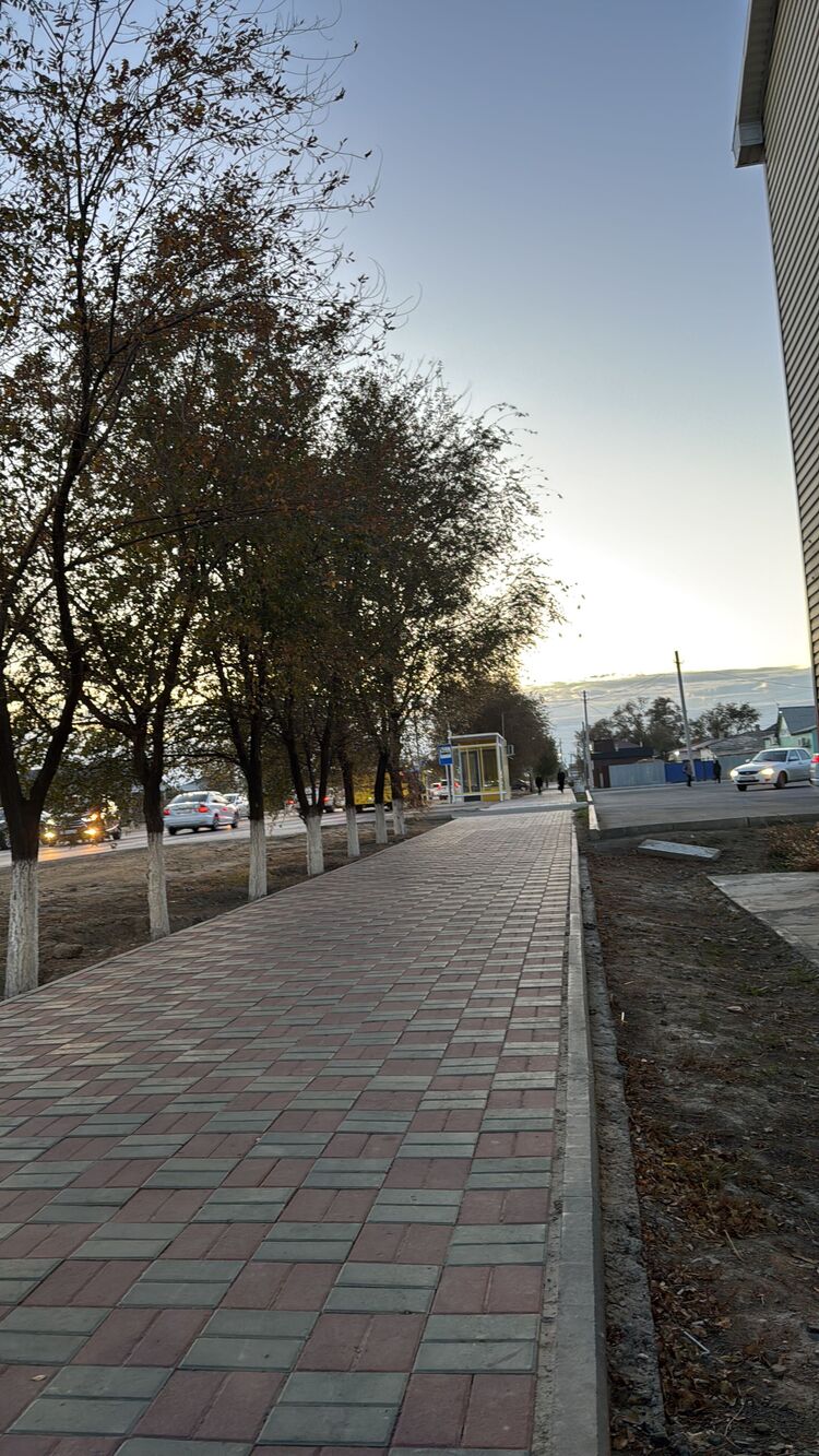 ���� 54251798 ������� ���������, 26 ���, ���� ���������� � ���������