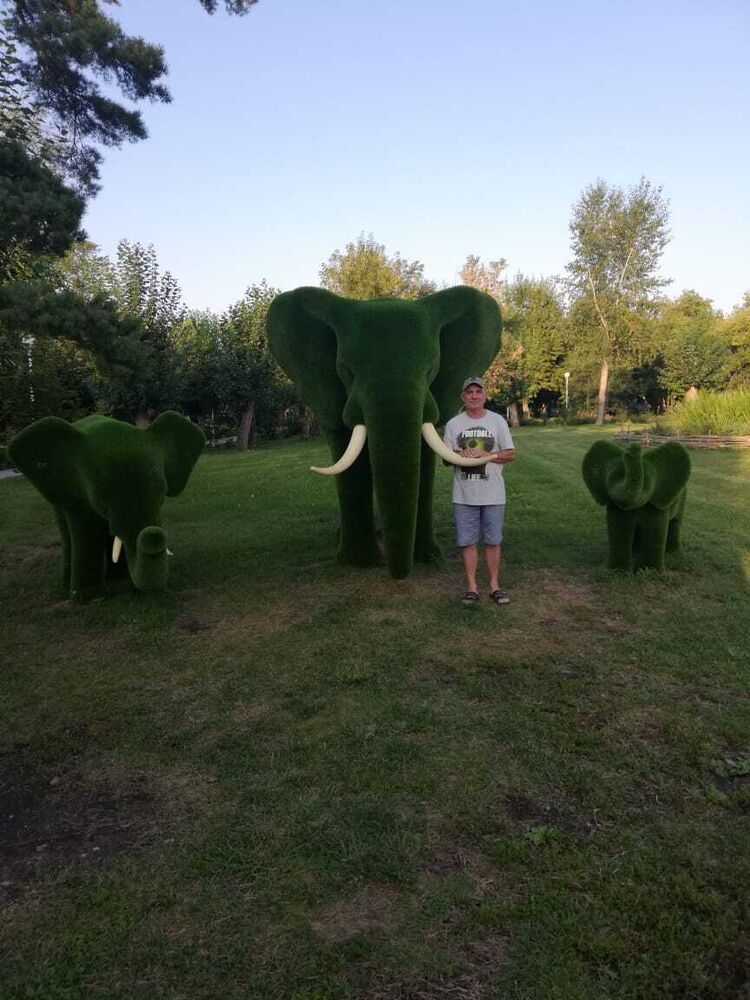 ���� 25384918 ������� �����, 57 ���, ���� ���������� � ������������