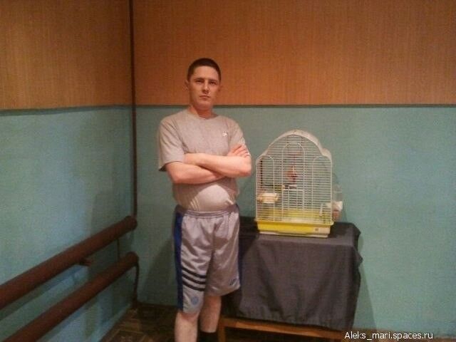 ,   Boikovag, 41 ,   ,   , c 