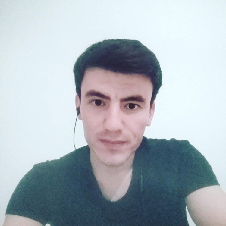  34498268  , 28 ,    
