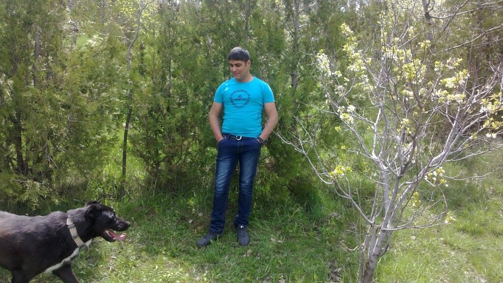 ���� 5696208 ������� VARDAN, 30 ���, ���� ���������� � �������