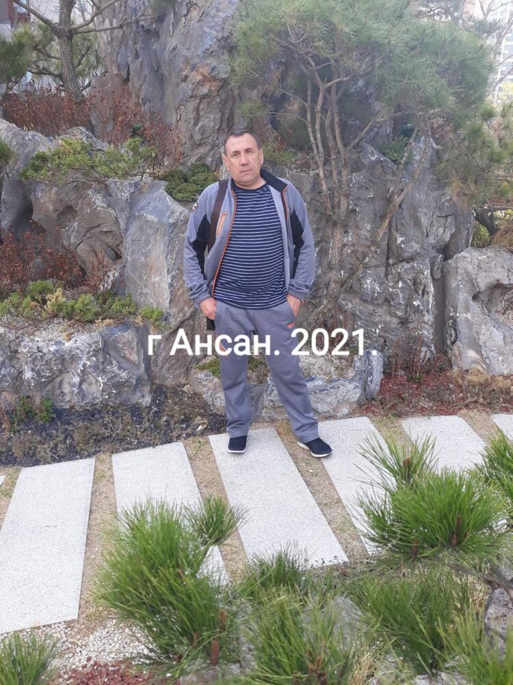  43124588  , 54 ,    -