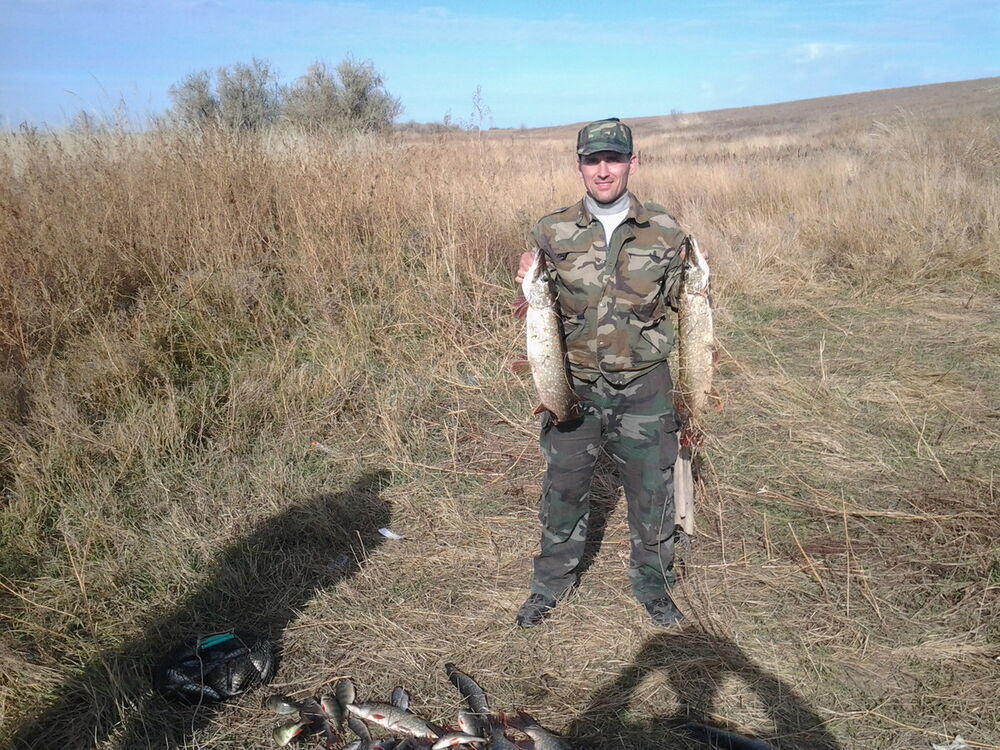 ���� 6294388 ������� ������, 48 ���, ���� ���������� � ������