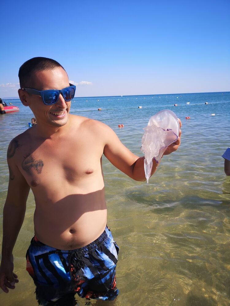 ���������� ���������, ���� ������� �����, 36 ���, ������������ ��� ������, ����� � ���������, c�������� ���������