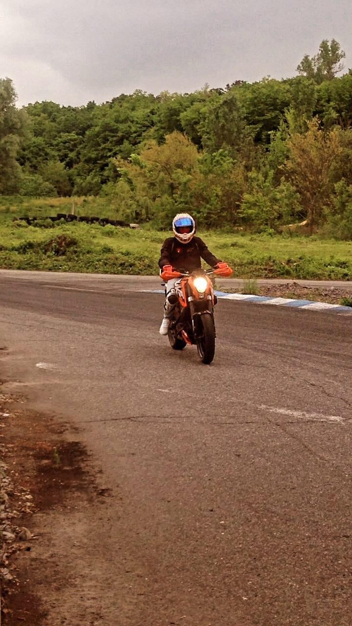  24441658  Edos, 30 ,    