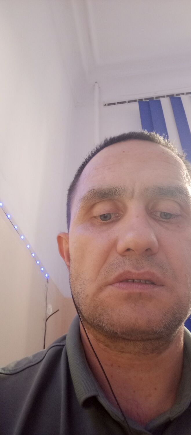  53826978  , 40 ,    --