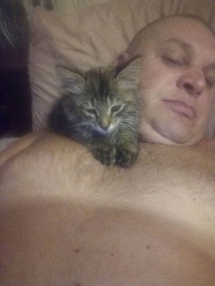 ���������� �������, ���� ������� �������, 49 ���, ������������ ��� ������, ����� � ���������, c�������� ���������