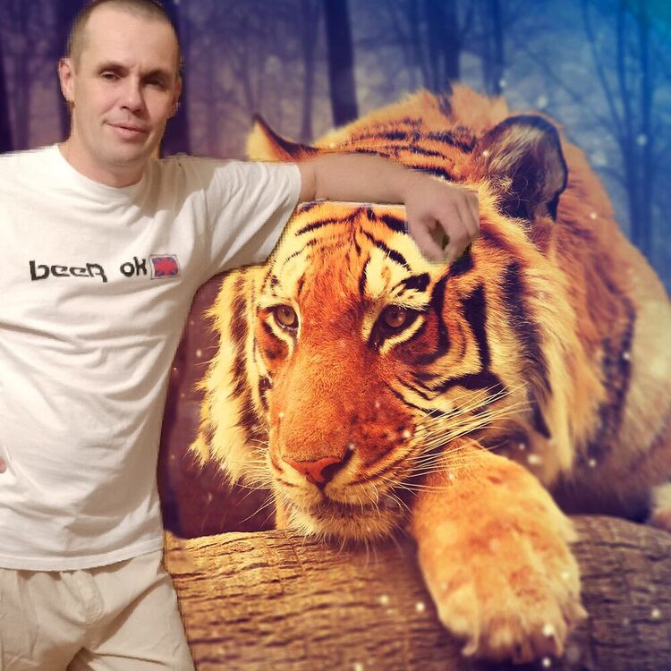 ���������� ��������, ���� ������� ����, 46 ���, ������������ ��� ������, ����� � ���������, c�������� ���������, ���������