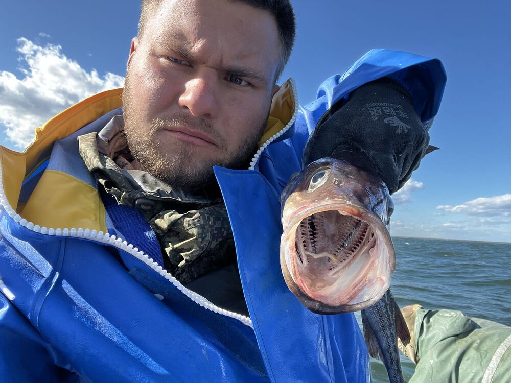 ���������� ����-���������, ���� ����� ���������, 25 ���, ������������ ��� ������, ����� � ���������, c�������� ���������, ���������