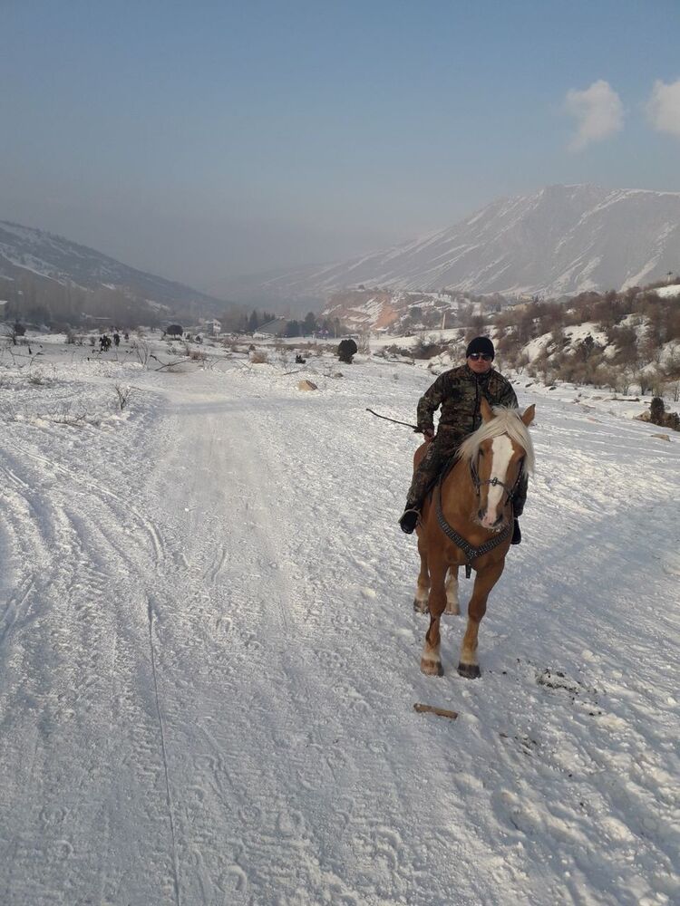 ���� 17234588 ������� �����, 41 ���, ���� ���������� � �������