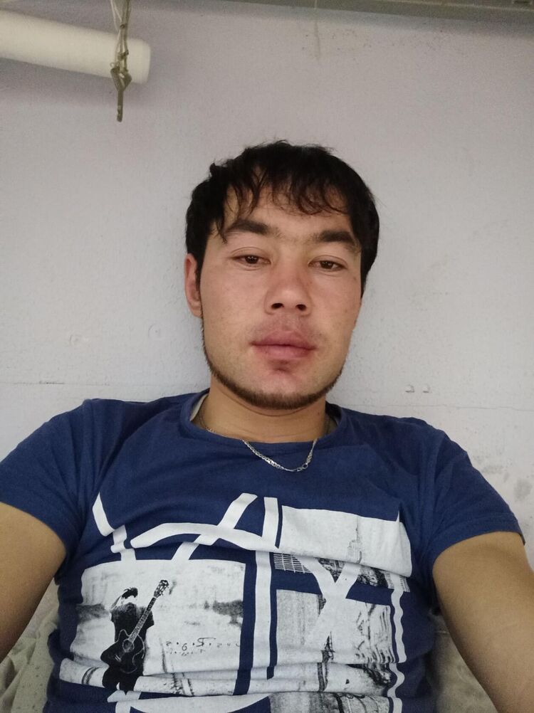  42882578  , 32 ,    