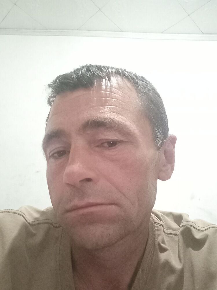  52272358  , 44 ,    