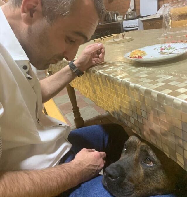 ���������� �����������, ���� ������� ����, 40 ���, ������������ ��� ������, c�������� ���������, ���������