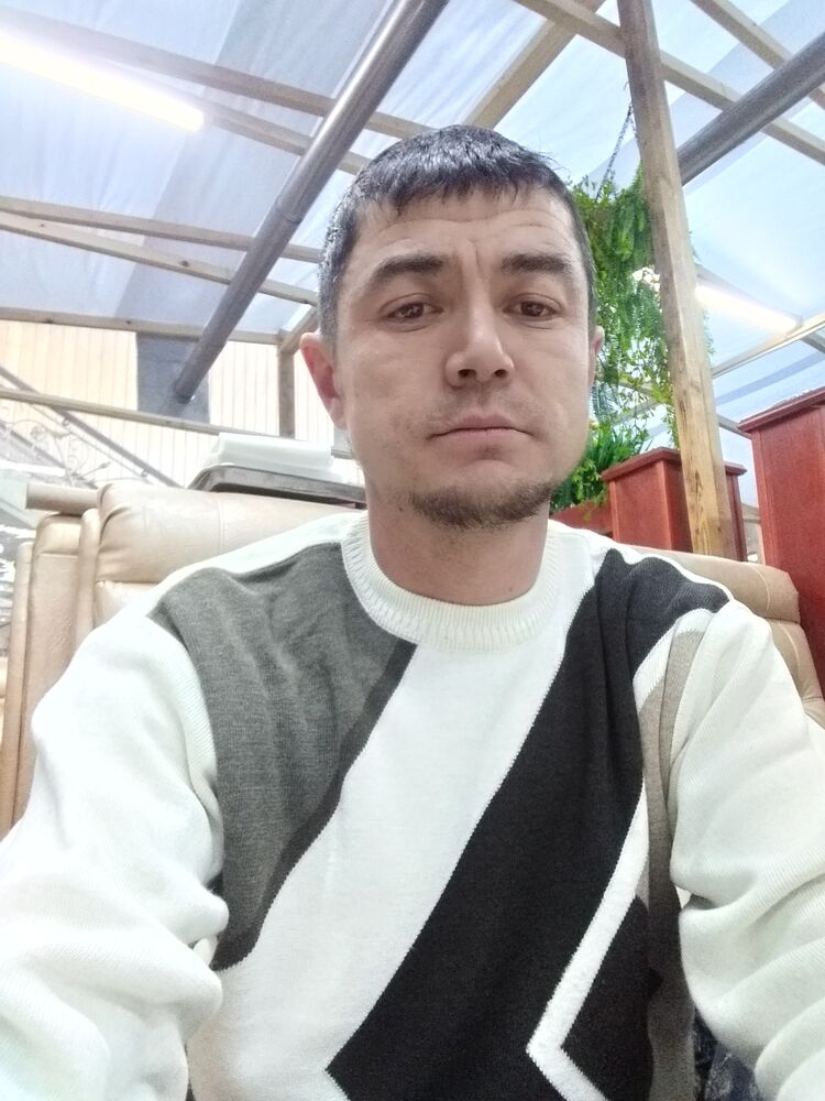  35547348  , 43 ,    