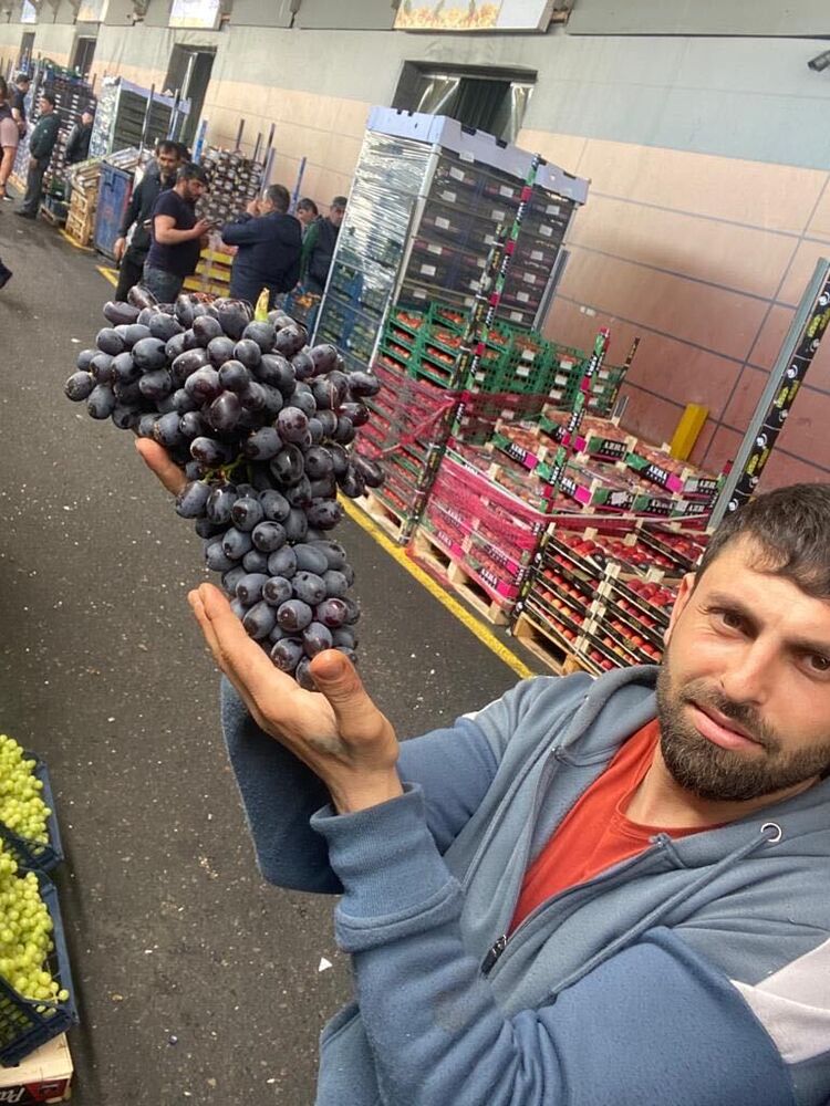 Antioch,   Ozgur, 36 ,   ,   