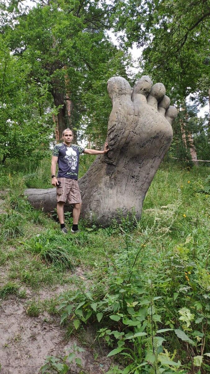 ���� 20843688 ������� �������, 34 ����, ���� ���������� � ���������