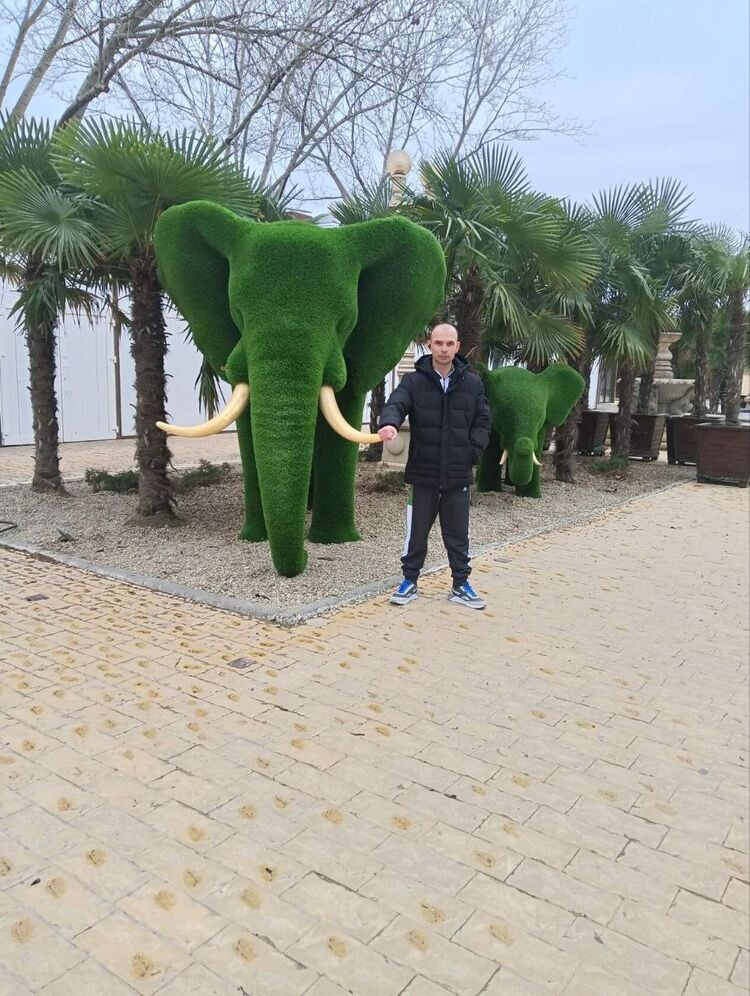  ,   , 37 ,   ,   
