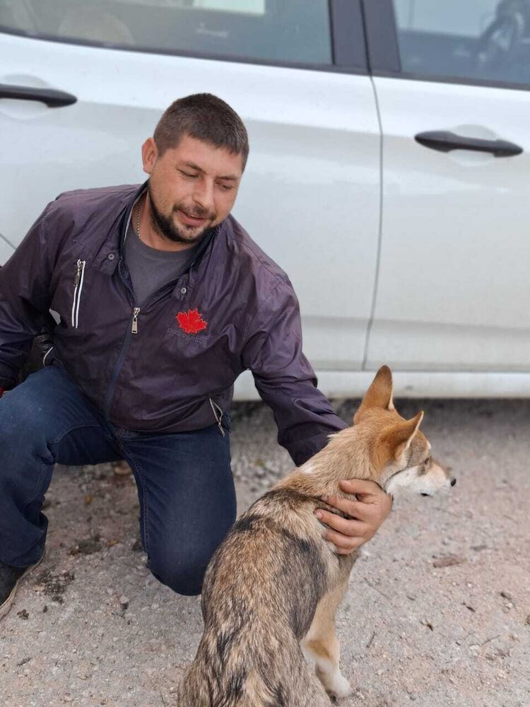 ���� 55818508 ������� �����, 34 ����, ���� ���������� � �����������