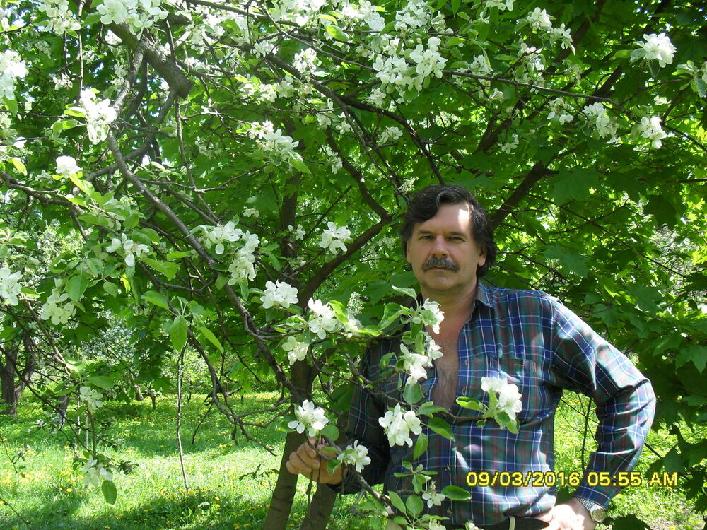 ���������� ����, ���� ������� ������, 61 ���, ������������ ��� ������, ����� � ���������, c�������� ���������