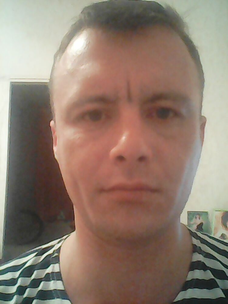  8322268  , 44 ,    -